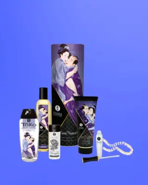 Shunga Carnal Desires Kit - Testi vágyak készlet
