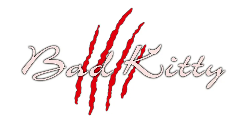 Bad Kitty