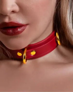 Taboom - Nyakörv D-gyűrűvel (bordó)