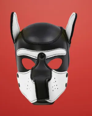 Intoyou - Neoprén kutyamaszk levehető szájkosárral (fekete-fehér)