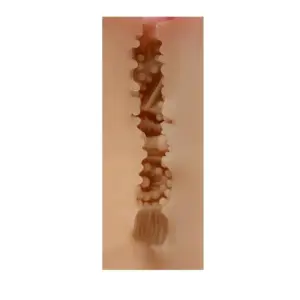 Shequ Maureen - Masztrubátor - Image 3