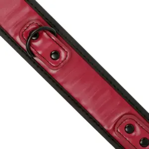 Fetish Submissive - Nyakörv pórázzal (bordó) - Image 4