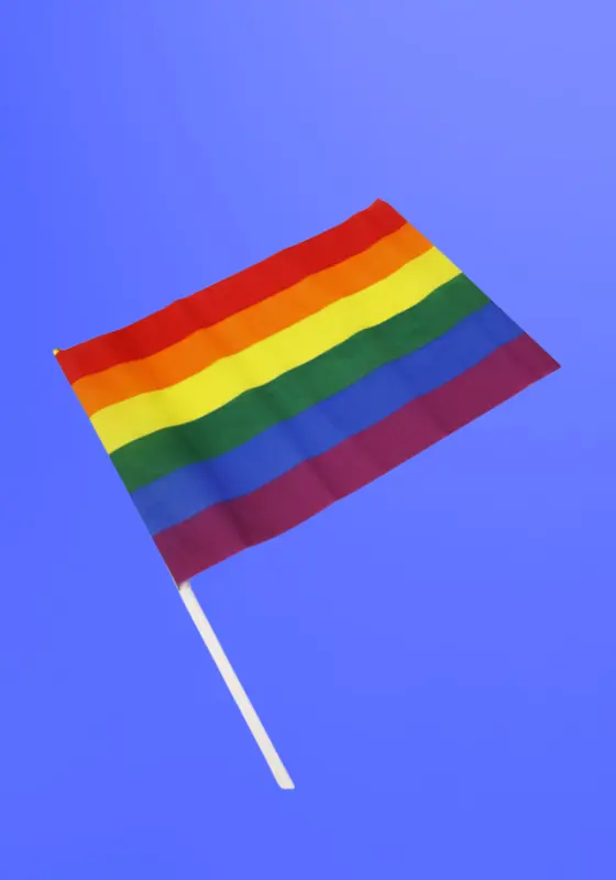 Pride - Zászló (közepes)