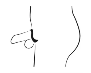 You2Toys - péniszketrec péniszpluggal (fekete) - Image 7